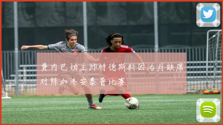 费内巴切主帅特德斯科因治疗缺席对阵加济安泰普比赛
