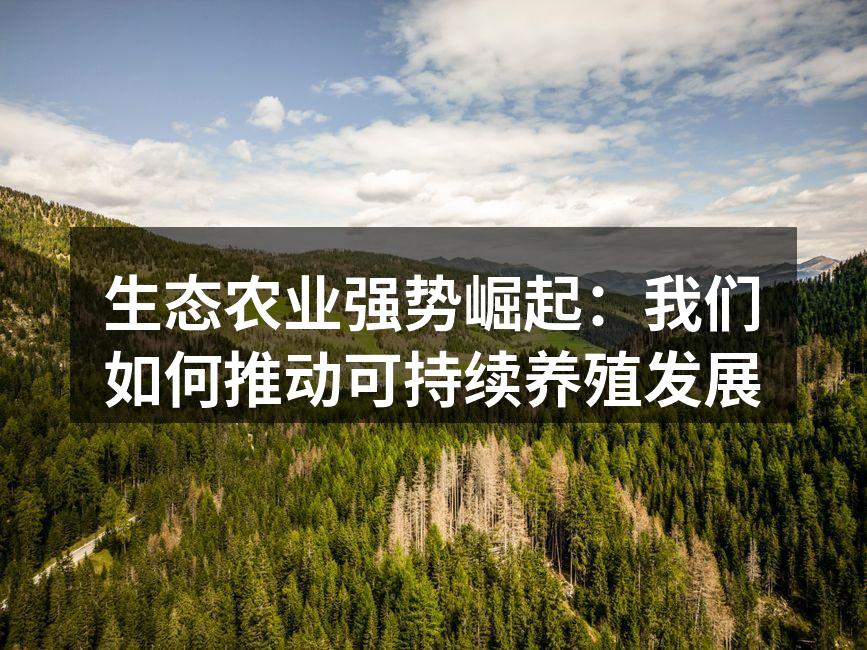 生态农业强势崛起：我们如何推动可持续养殖发展